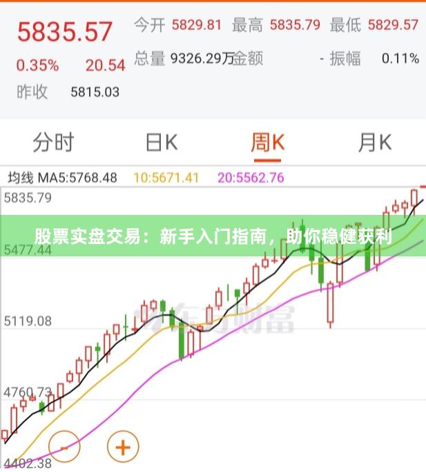 股票实盘交易：新手入门指南，助你稳健获利
