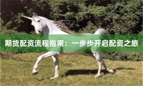 期货配资流程指南：一步步开启配资之旅