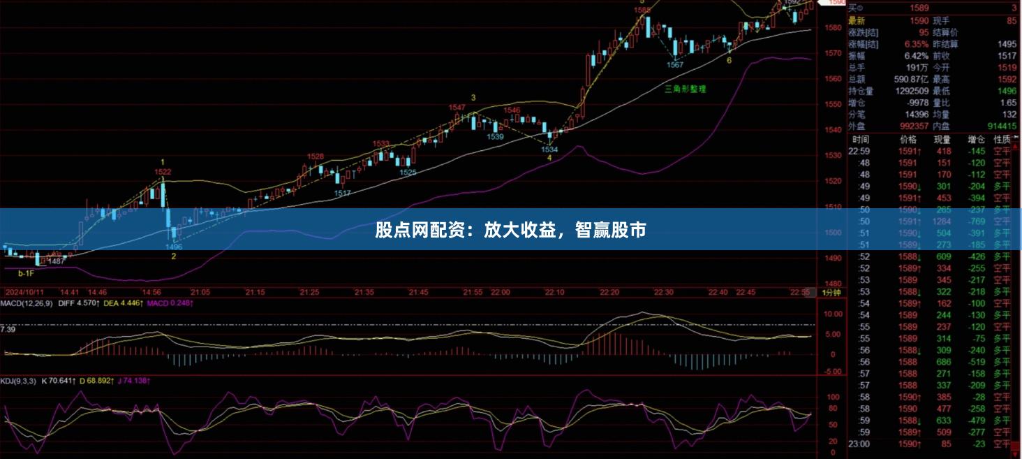 股点网配资：放大收益，智赢股市