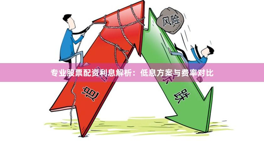 专业股票配资利息解析：低息方案与费率对比